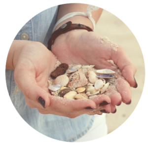 Sea shell treasure in hands.