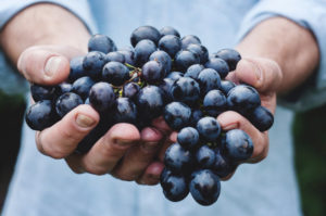 Hands holding grapes out to you.
