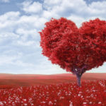 Fruit of the Spirit is love - picture of red tree shaped as a heart.