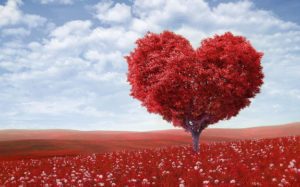 Fruit of the Spirit is love - picture of red tree shaped as a heart.