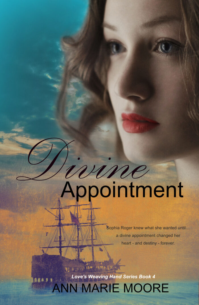 Divine Appointment LWH series Book 4